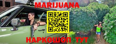 индика Ивантеевка