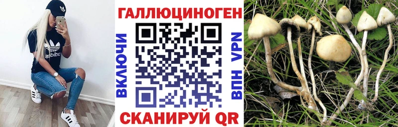 как найти закладки  Хабаровск  Псилоцибиновые грибы мухоморы 