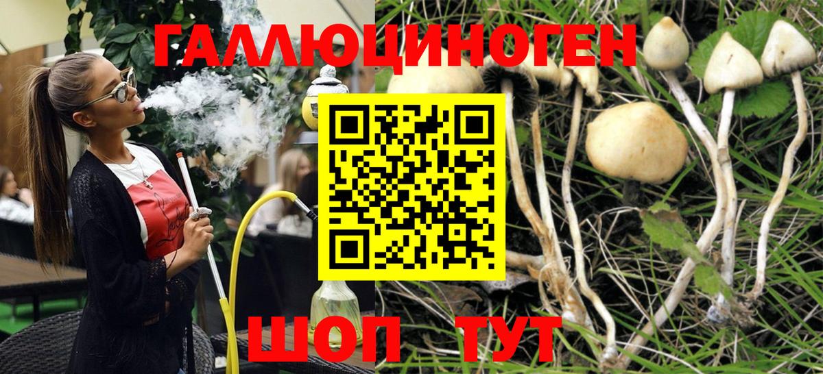 Псилоцибиновые грибы Magic Shrooms  Вход с VPN  Галлюциногенные грибы мухоморы  Хабаровск 
